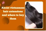 about-vietnamese-hair-extensions-and-where-to-buy-them-1